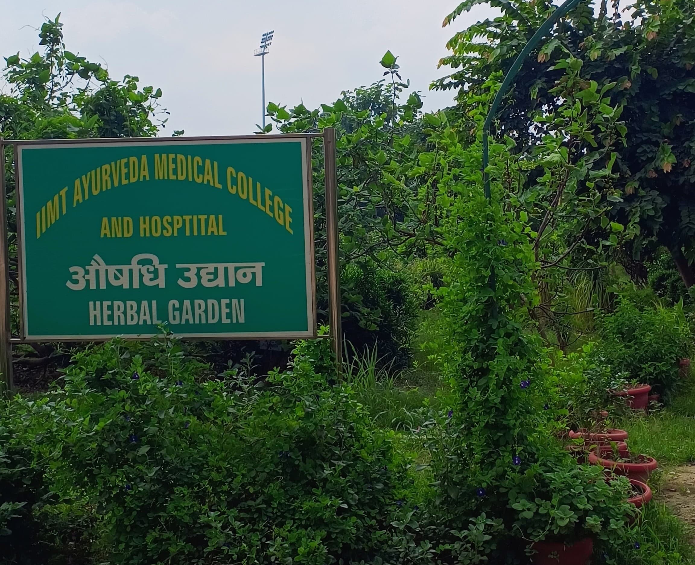 IIMT University Meerut Sports and Ground photo 4